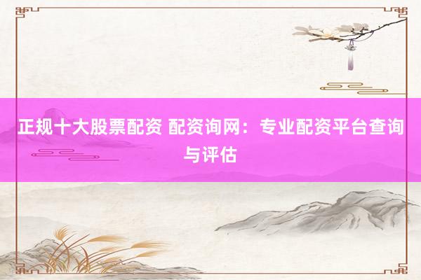 正规十大股票配资 配资询网：专业配资平台查询与评估