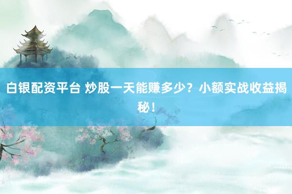 白银配资平台 炒股一天能赚多少？小额实战收益揭秘！