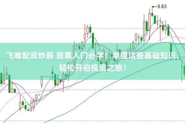 飞唯配资炒股 股票入门必学：掌握这些基础知识，轻松开启投资之旅！