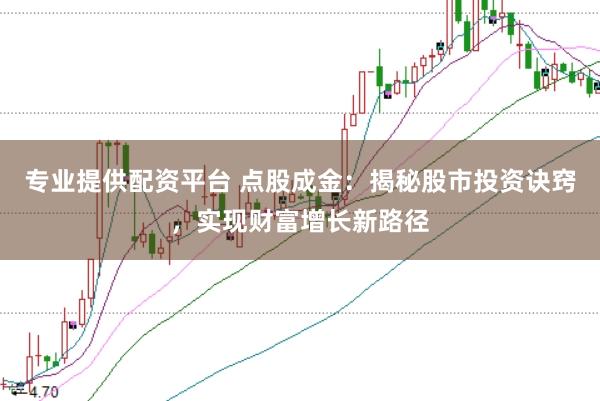 专业提供配资平台 点股成金：揭秘股市投资诀窍，实现财富增长新路径