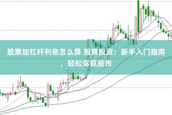 股票加杠杆利息怎么算 股票投资：新手入门指南，轻松驾驭股市