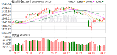 黑猫股份重大利好 这一板块再迎利好 指数年内最大涨幅超100%