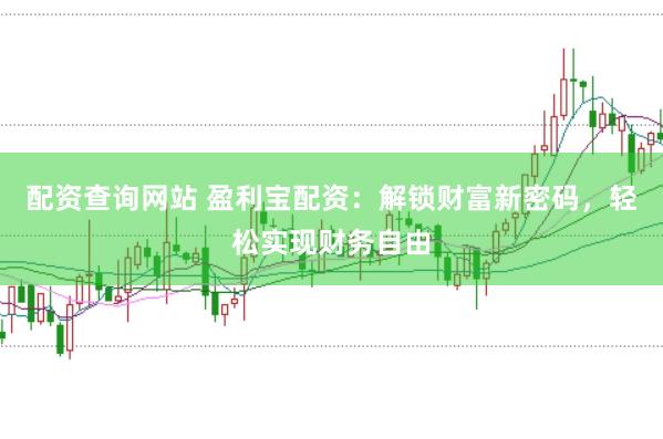 配资查询网站 盈利宝配资：解锁财富新密码，轻松实现财务自由