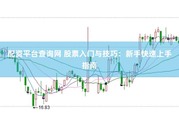 配资平台查询网 股票入门与技巧：新手快速上手指南