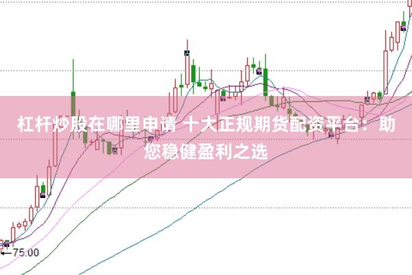 杠杆炒股在哪里申请 十大正规期货配资平台：助您稳健盈利之选