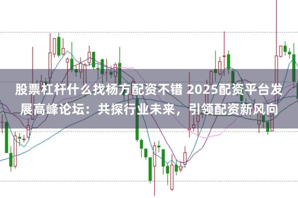 股票杠杆什么找杨方配资不错 2025配资平台发展高峰论坛：共探行业未来，引领配资新风向