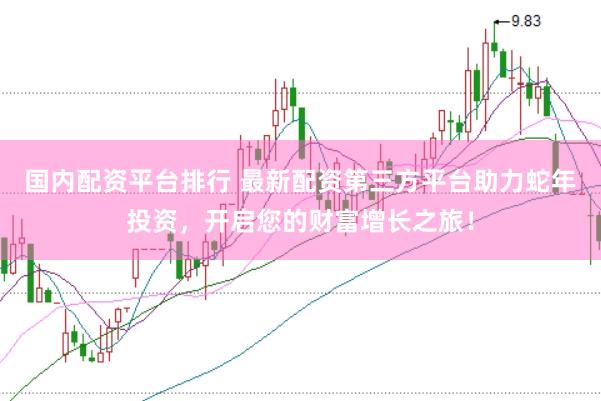 国内配资平台排行 最新配资第三方平台助力蛇年投资，开启您的财富增长之旅！