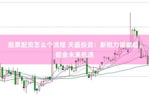 股票配资怎么个流程 天盛投资：新锐力量崛起，掘金未来机遇