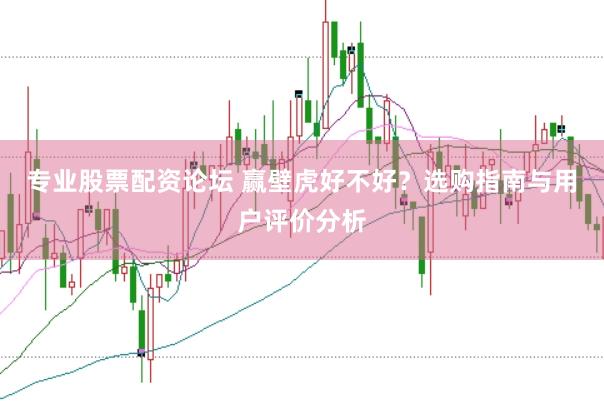专业股票配资论坛 赢壁虎好不好？选购指南与用户评价分析