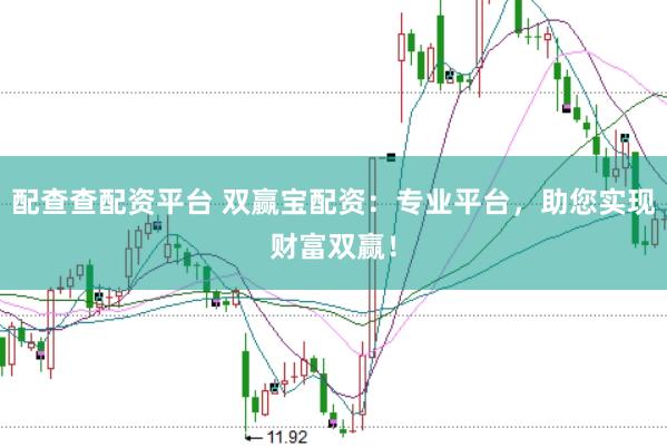 配查查配资平台 双赢宝配资：专业平台，助您实现财富双赢！