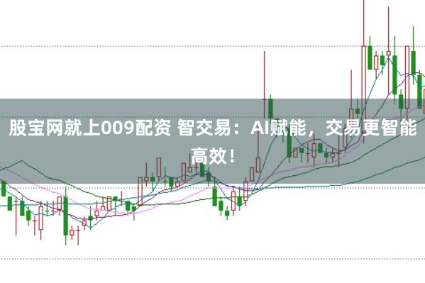 股宝网就上009配资 智交易：AI赋能，交易更智能高效！