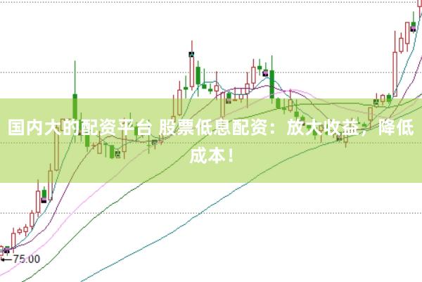 国内大的配资平台 股票低息配资：放大收益，降低成本！