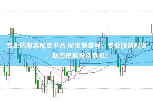 专业的股票配资平台 配资熊掌号：专业股票配资，助您把握投资良机！