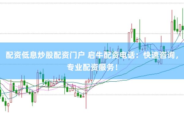 配资低息炒股配资门户 启牛配资电话：快速咨询，专业配资服务！