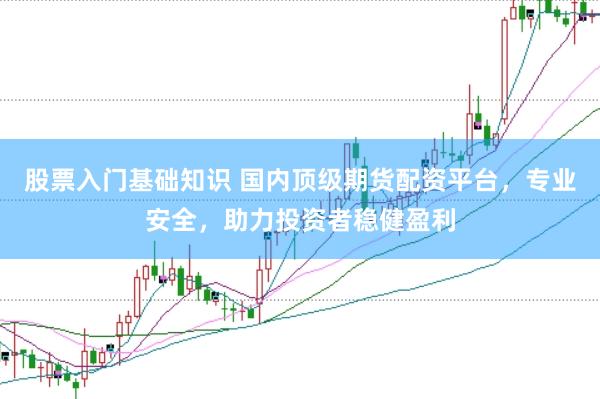 股票入门基础知识 国内顶级期货配资平台，专业安全，助力投资者稳健盈利