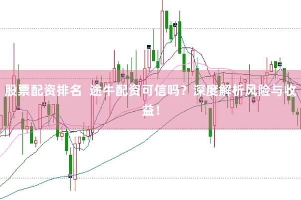股票配资排名  途牛配资可信吗？深度解析风险与收益！