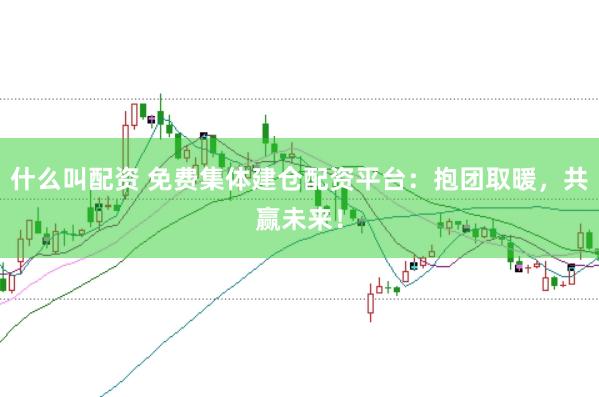 什么叫配资 免费集体建仓配资平台：抱团取暖，共赢未来！