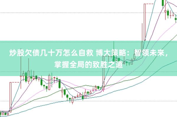 炒股欠债几十万怎么自救 博大策略：智领未来，掌握全局的致胜之道