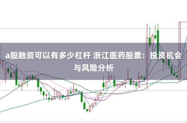 a股融资可以有多少杠杆 浙江医药股票：投资机会与风险分析