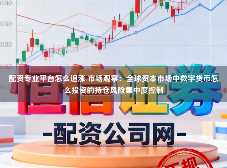 配资专业平台怎么追涨 市场观察：全球资本市场中数字货币怎么投资的持仓风险集中度控制