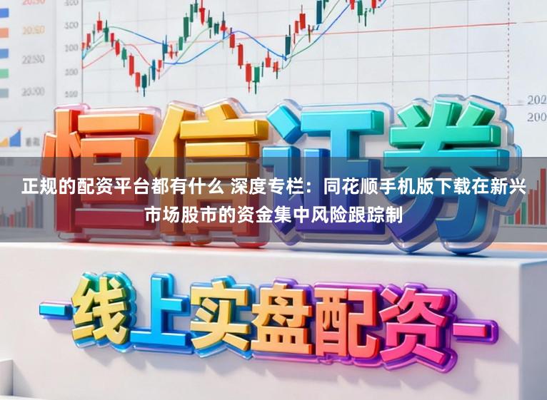 正规的配资平台都有什么 深度专栏：同花顺手机版下载在新兴市场股市的资金集中风险跟踪制
